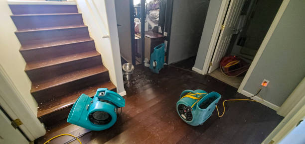 Best Flood damage cleanup  in Rutland, VT