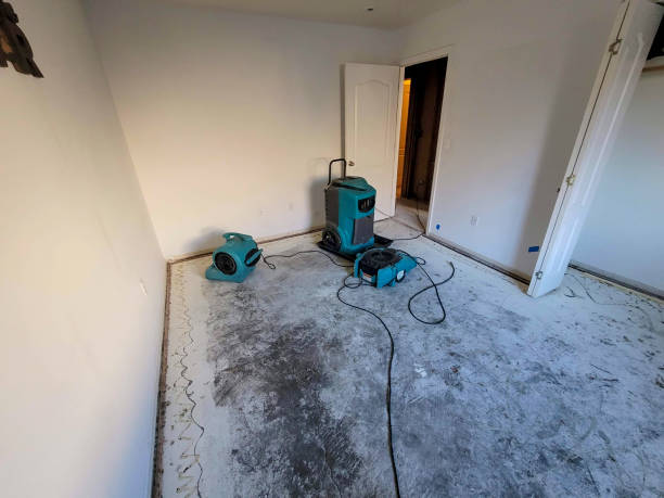 Best 24-hour water damage restoration  in Rutland, VT