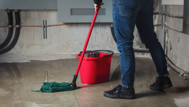 Best Mold removal after water damage  in Rutland, VT