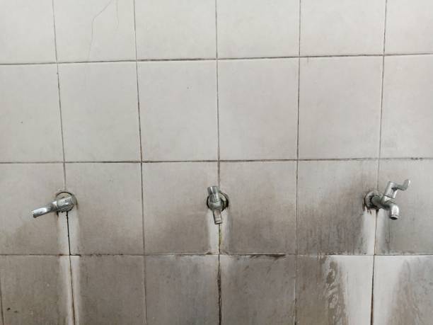 Best Local water damage restoration  in Rutland, VT