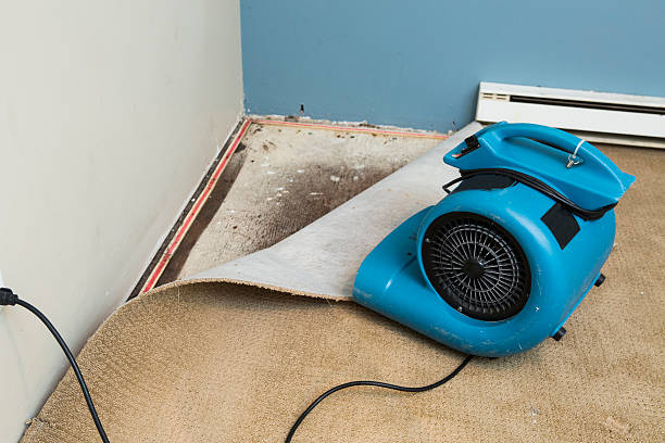 Best Commercial water damage restoration  in Rutland, VT